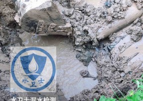 瑞安水管漏水检测公司5